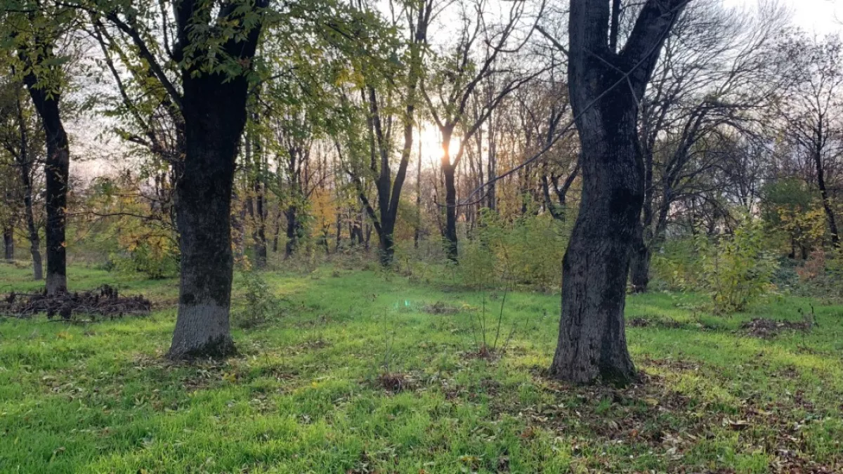 В Пензенской области стартовала подготовка к пожароопасному сезону