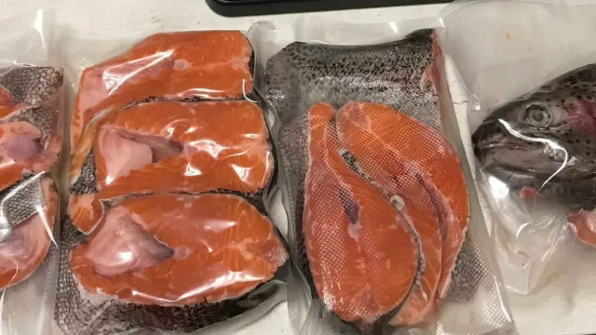 Химик производства показал, как он убирает из магазинной рыбы и мяса химию: теперь тоже так делаю дома - сразу новый вкус оценил