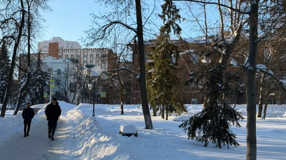 С начала года пензенские «тигры» выходили на дежурства свыше 3 тысяч раз