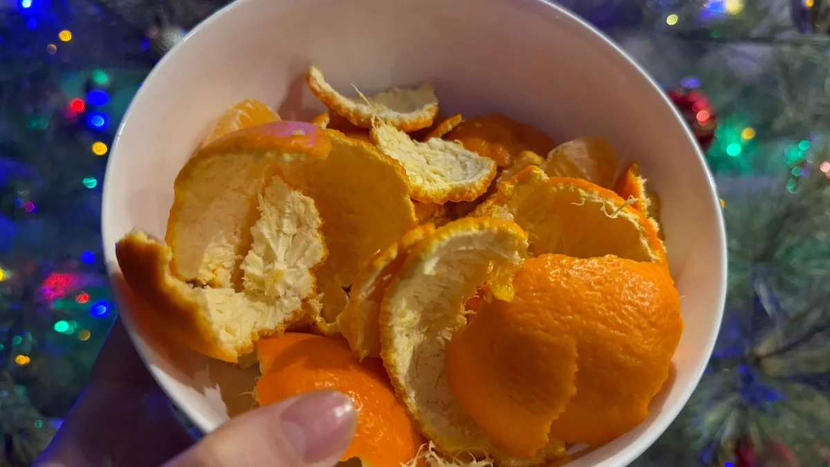 Мандариновые корки против морковной мухи: природный инсектицид