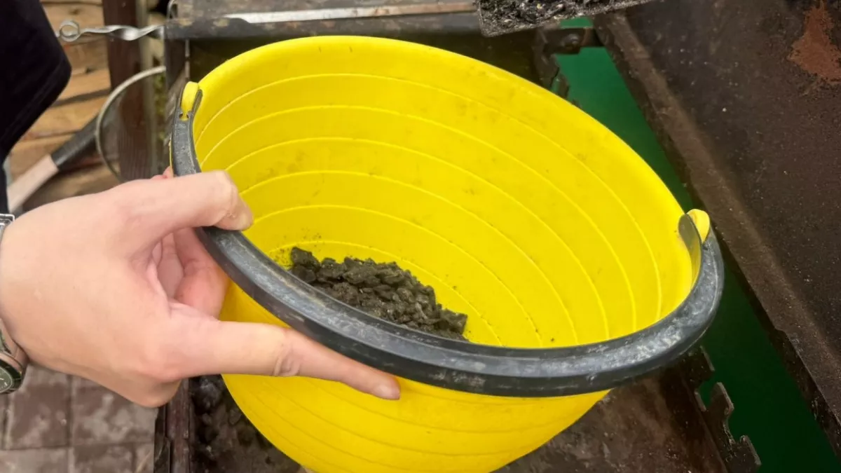 Вношу под вишню весеннюю подкормку в 2 приема: замешиваю в воде 2 средства и на полив - завязи крепнут и идут в рост