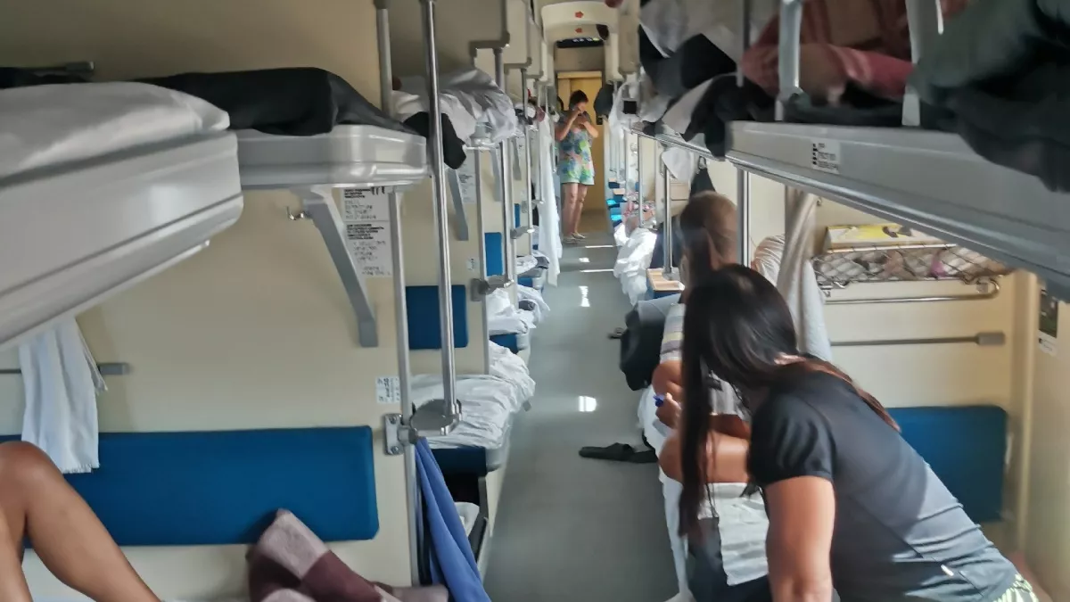 Ребёнок на верхней полке, а собака в купе: разбор спорной ситуации