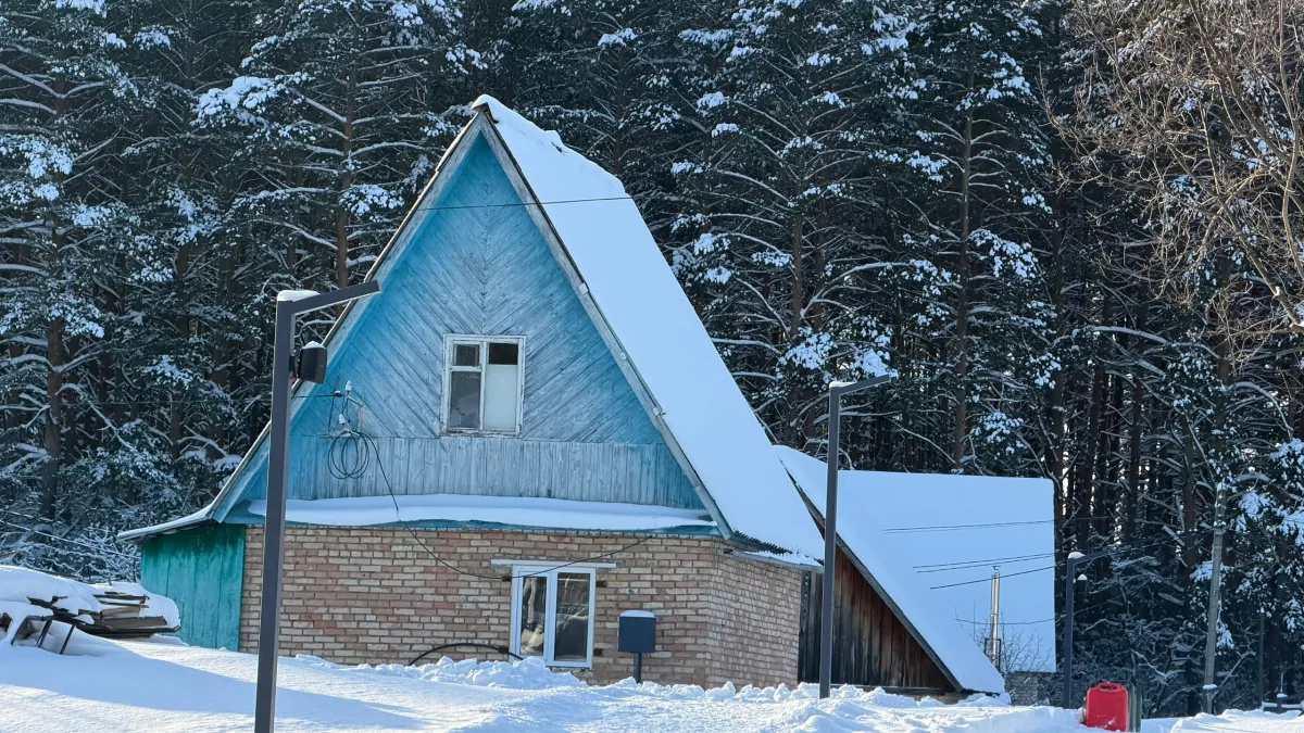 Ваша дача уже пробудилась: 5 дел на даче в марте, которые нельзя откладывать опытному дачнику