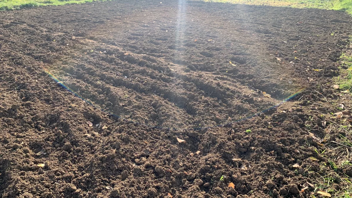 Опытные дачники уже вышли на дело: важные работы в саду в марте — полный список