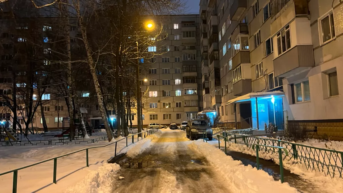 По микрорайону Арбеково пробегала косуля