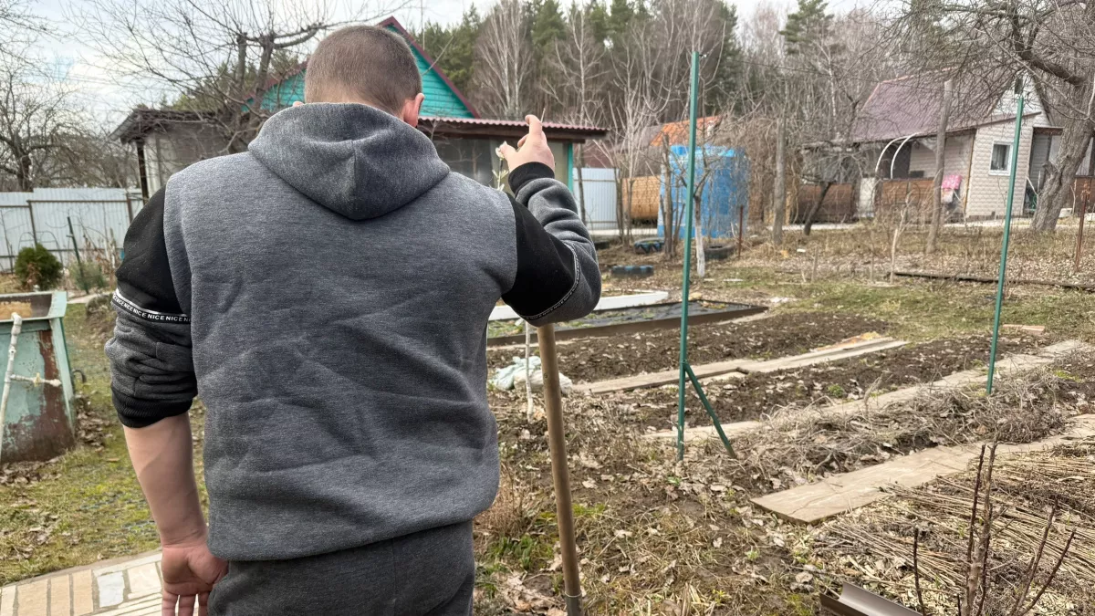 Почему в деревне не живут сельским хозяйством: экономика без прикрас