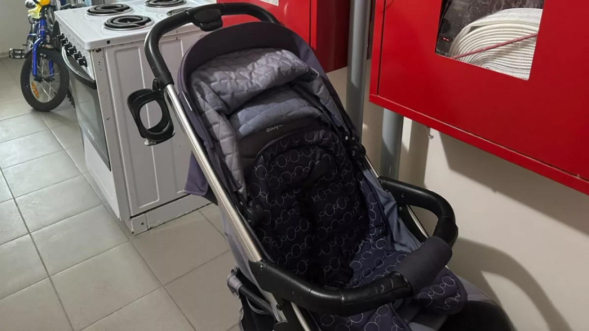 Жителям Пензенской области рассказали о расширении формата услуги «Социальная няня»