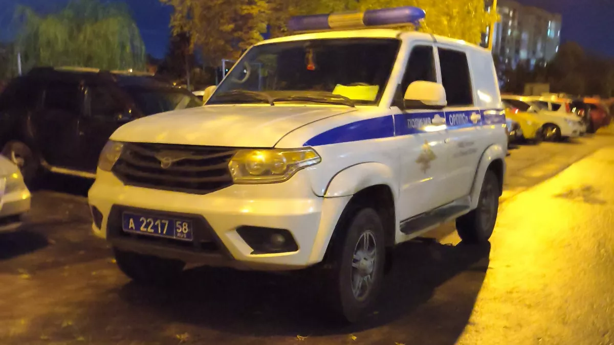 Житель Пензенского района пригрозил своим соседям убийством пистолетом