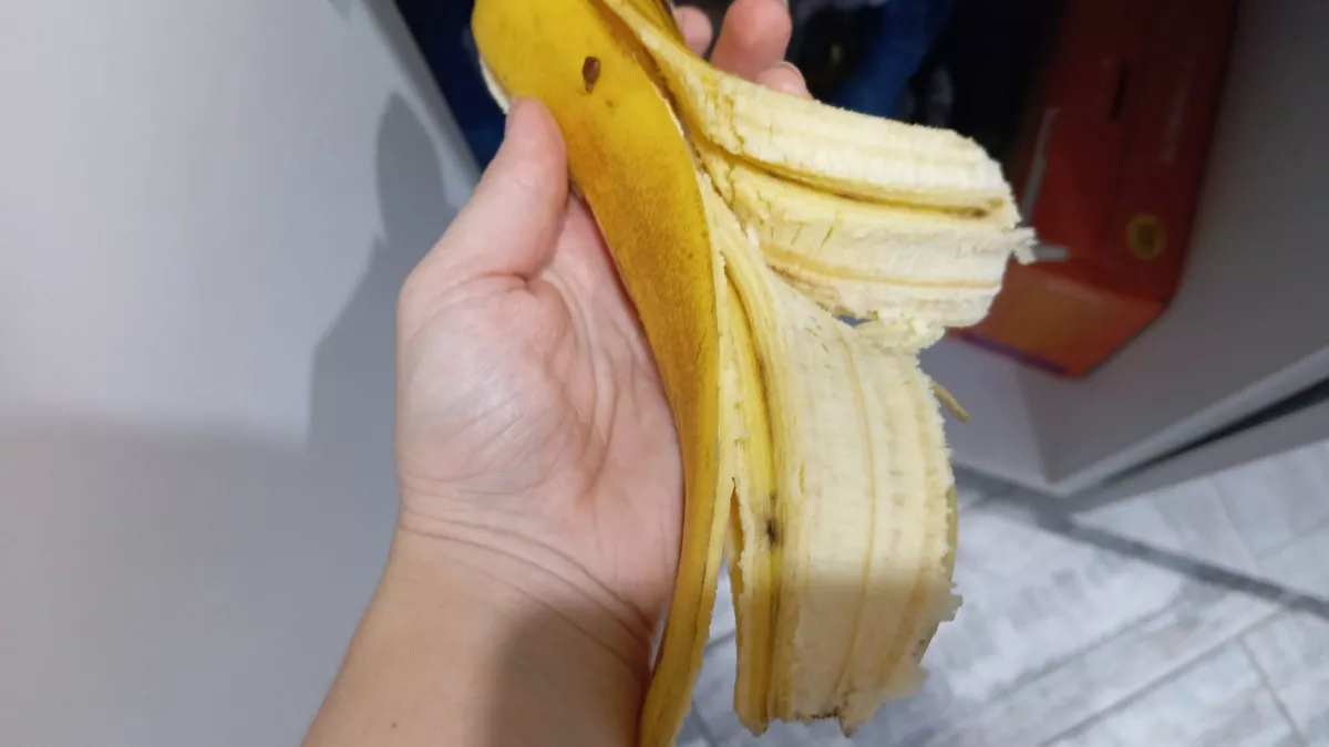 Банановую кожуру не выбрасываю: берегу, как зеницу ока - солю и нарезаю, а после грамотно использую ее на даче