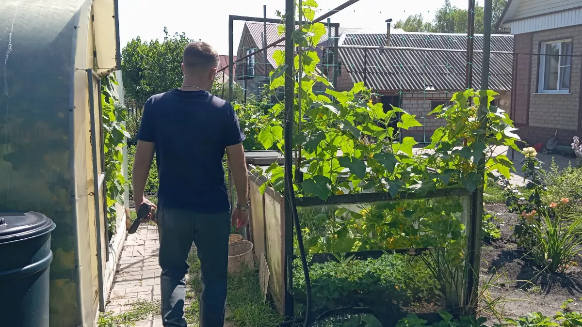 Все круто, но надо переделать - делюсь: что я бы поменяла в саду и огороде, а каким разработками завидуют все соседки 