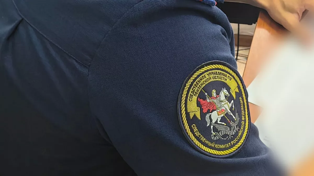 В Земетчинском районе нарушения требований охраны труда привели к гибели водителя грузовика