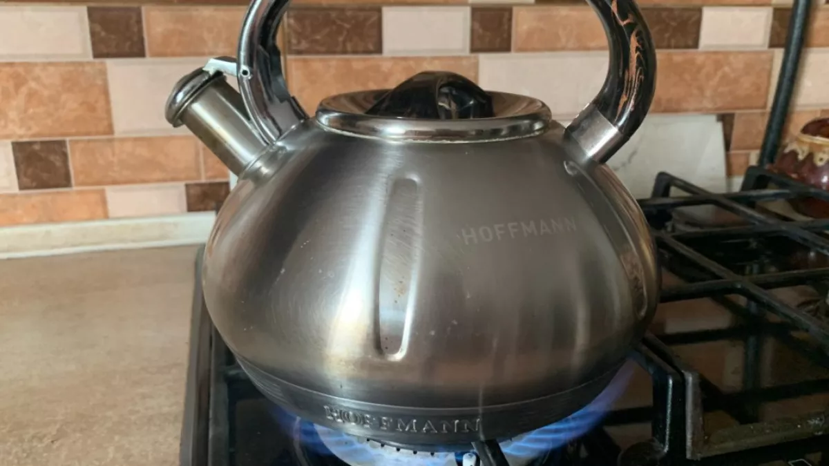 Пензенцам объяснили, кто может получить 130 тыс. рублей в рамках социальной догазификации