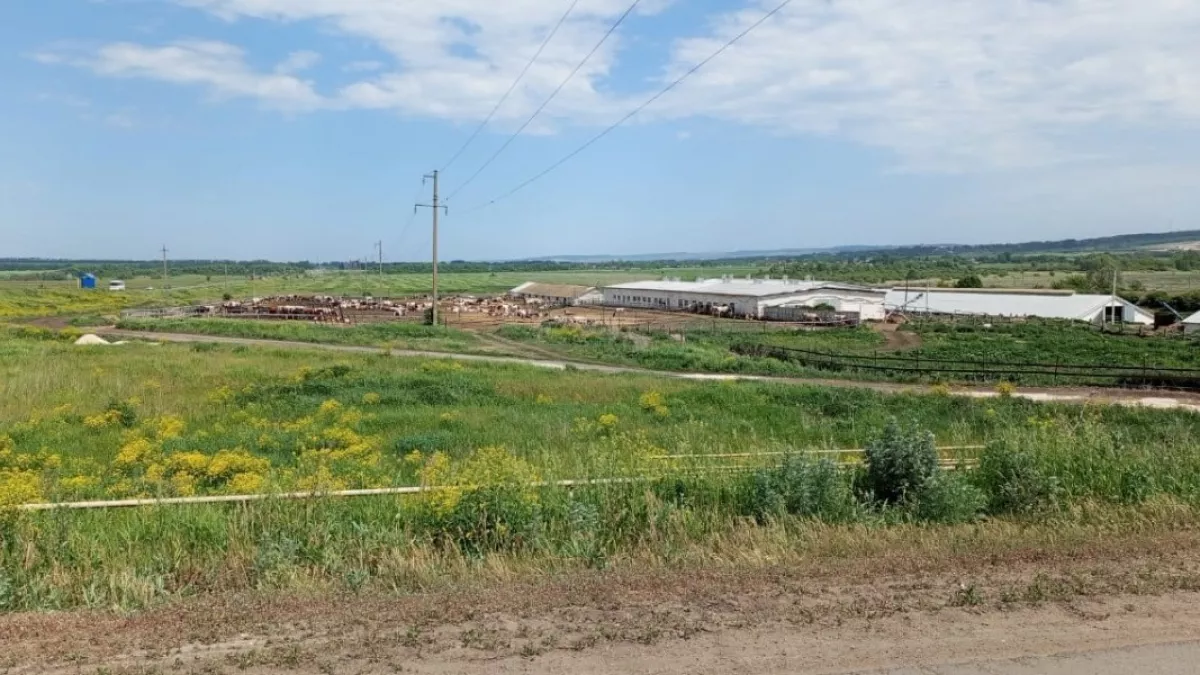 В Пензенской области сельхозпредприятие оштрафовали за заросшие земли