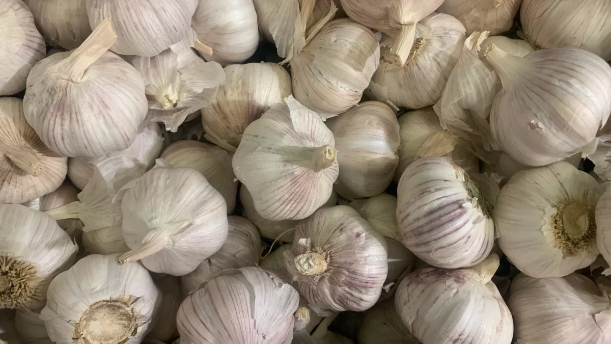 90% едят чеснок неправильно: тоже так делал — пока не узнал правило «10 минут»