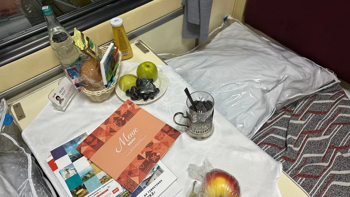 Выкупила всё купе, чтобы ехать с кошкой: а вечером проводница заводит ко мне женщину - пришлось отбиваться от обоих 