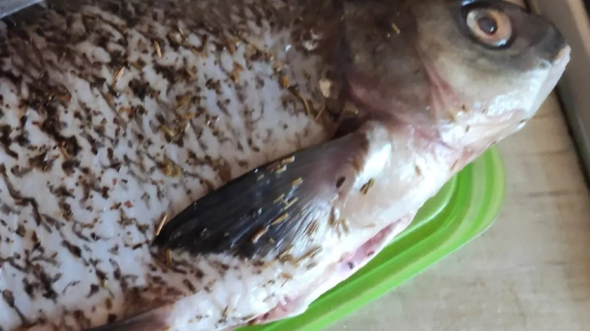 Знакомый рыбак всегда засовывает болт с гайкой в пойманную рыбу: узнал для чего и сделал также - жена сразу оценила хитрость