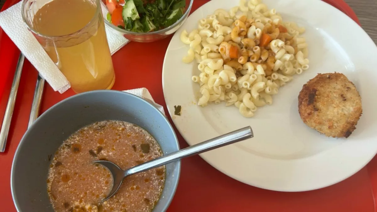 В Пензе следователями возбуждено уголовное дело после массового отравления школьников