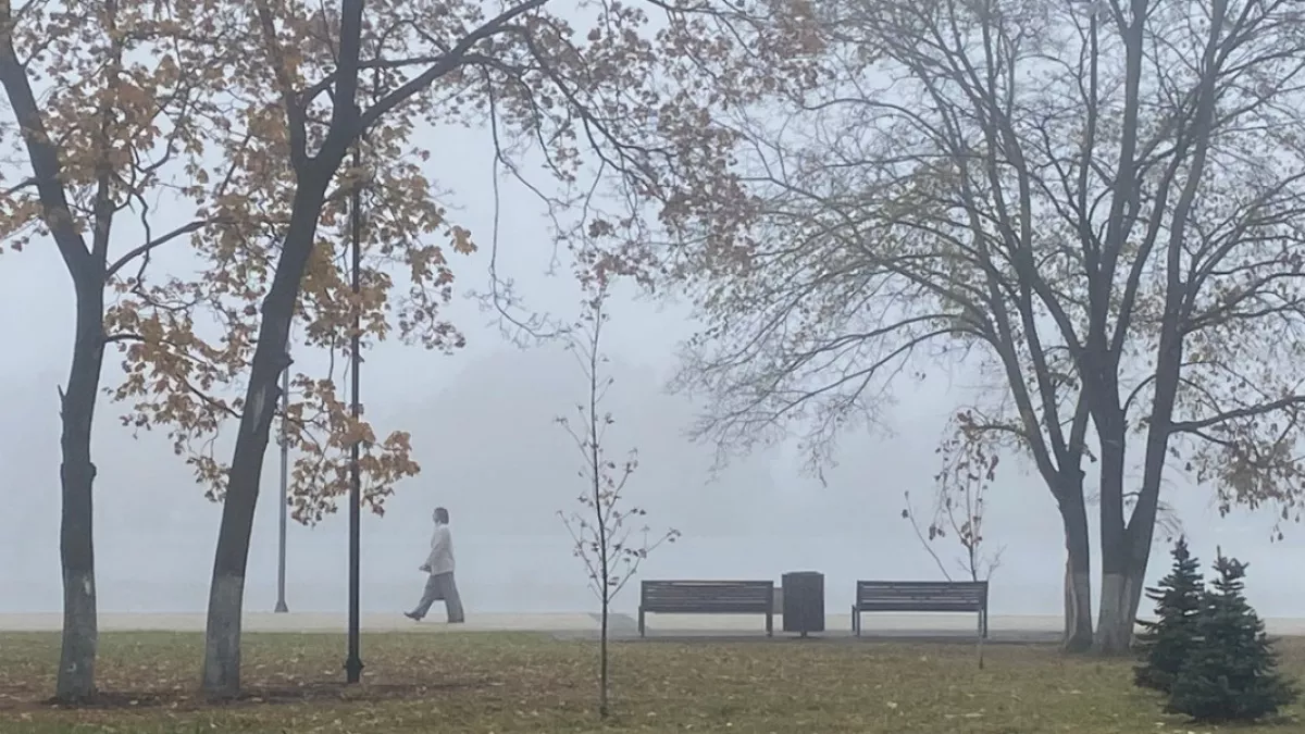 В Пензе составляют список участков, где будут проведены работы по озеленению