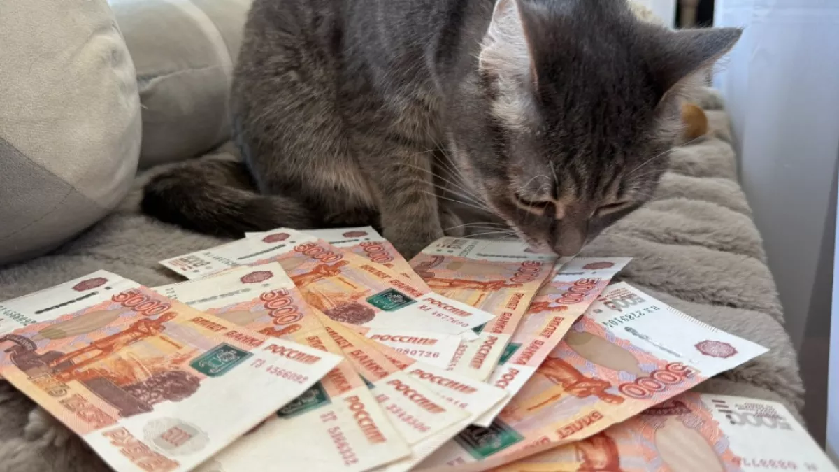 Пензенцам объяснили, как будут учитываться алименты при назначении единого пособия