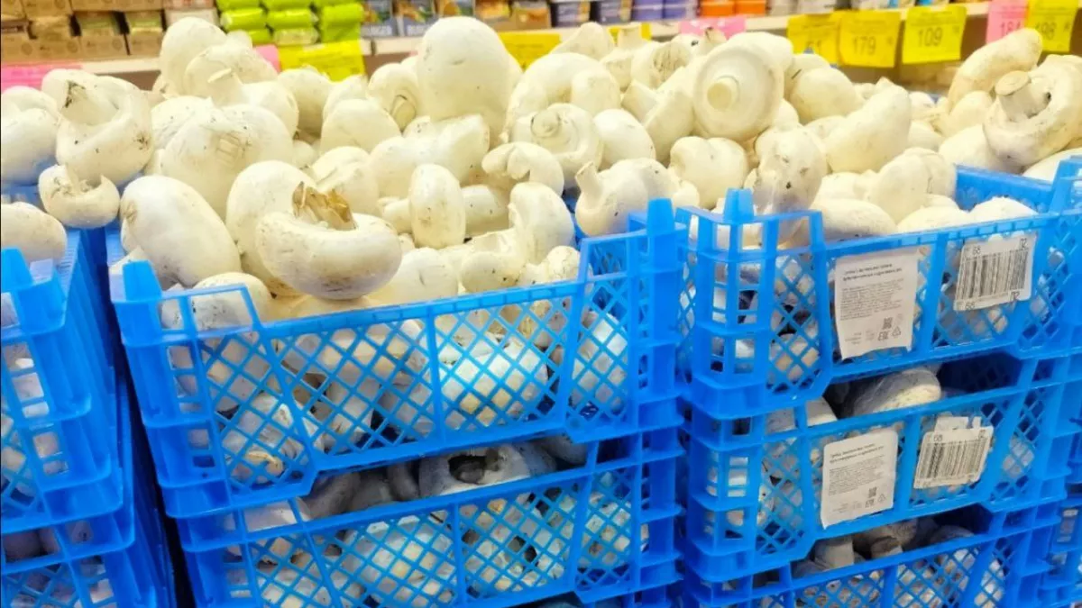 Обзор «Светофора»: брокколи за 183 рубля, горошек по 74 рубля, куриные желудки за 130. Цены, производители, стоит ли брать