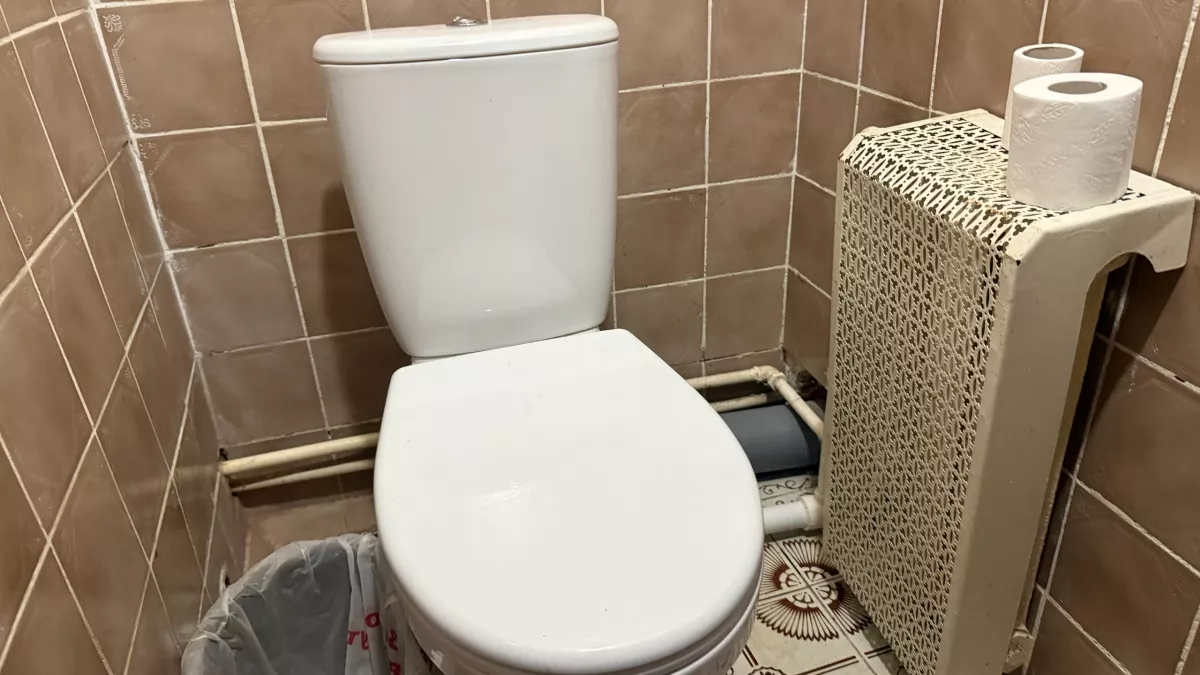 Особенность гигиены японских женщин, из-за которых у них чистые туалеты - таких правил нет нигде в мире