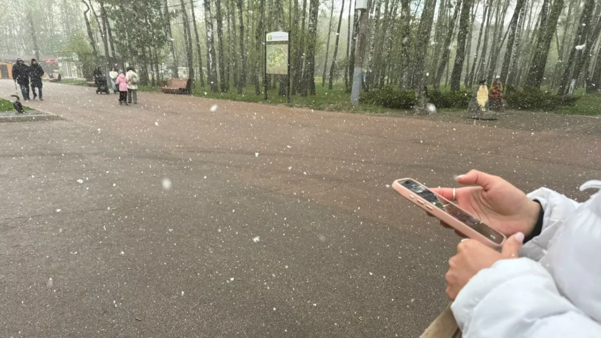 В Пензенской области ищут волонтеров для участия в голосовании