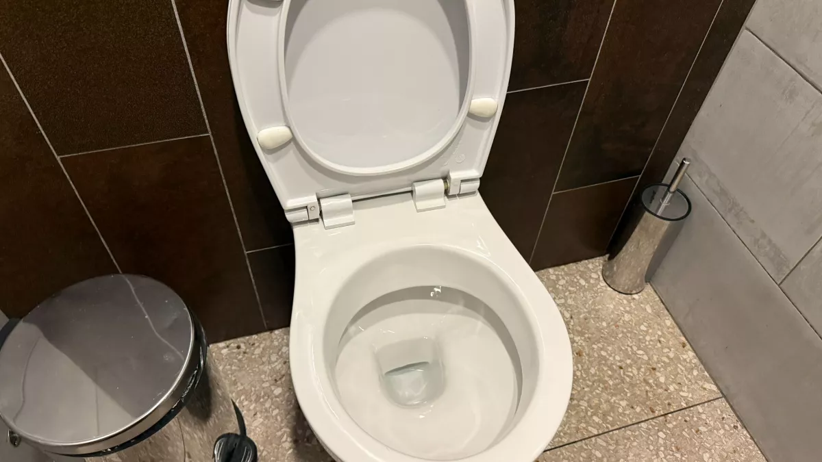 Правила гигиены японских женщин удивляет весь мир - почему у них везде чистые туалеты - все дело не в модных технологиях