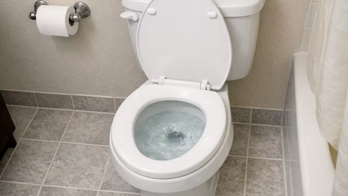 У Американцев даже унитазы другие: заполнены водой и нет ёршиков - причина удивляет, но логика в этом есть