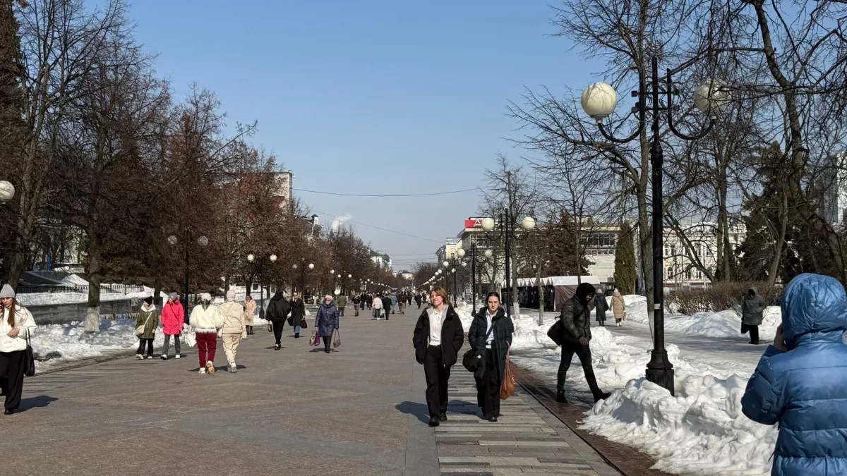 Пензенцы 272 раза пожаловались в ЦУР на уборку дорог за прошедшую неделю