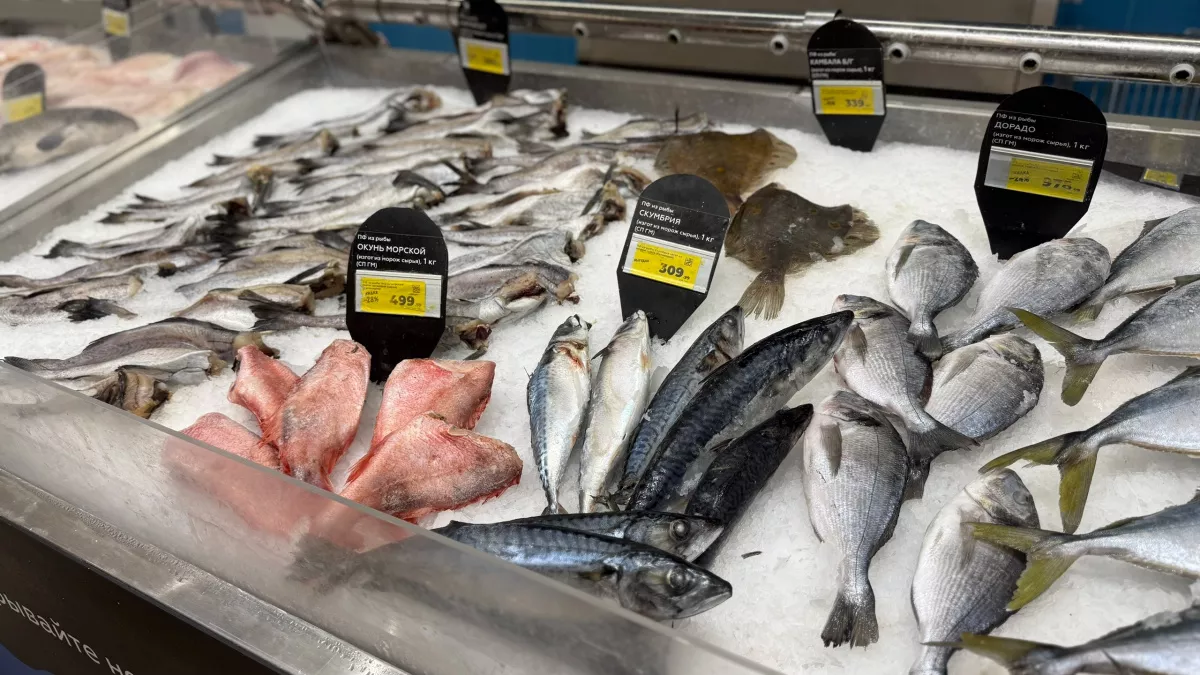 Лосось в пролёте: эта рыба полезнее в несколько раз, а цена в 4 раза ниже — мнение опытного нутрициолога