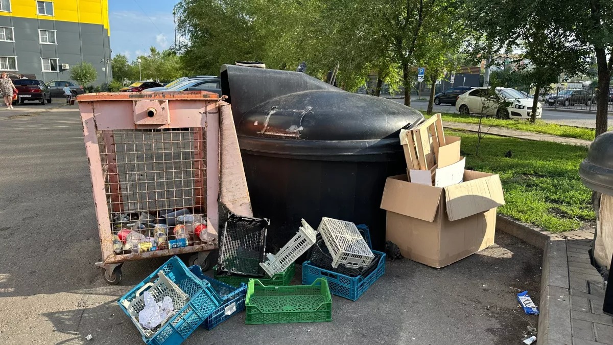 Власти рассказали пензенцам о работе по ликвидации свалок мусора в двух районах города