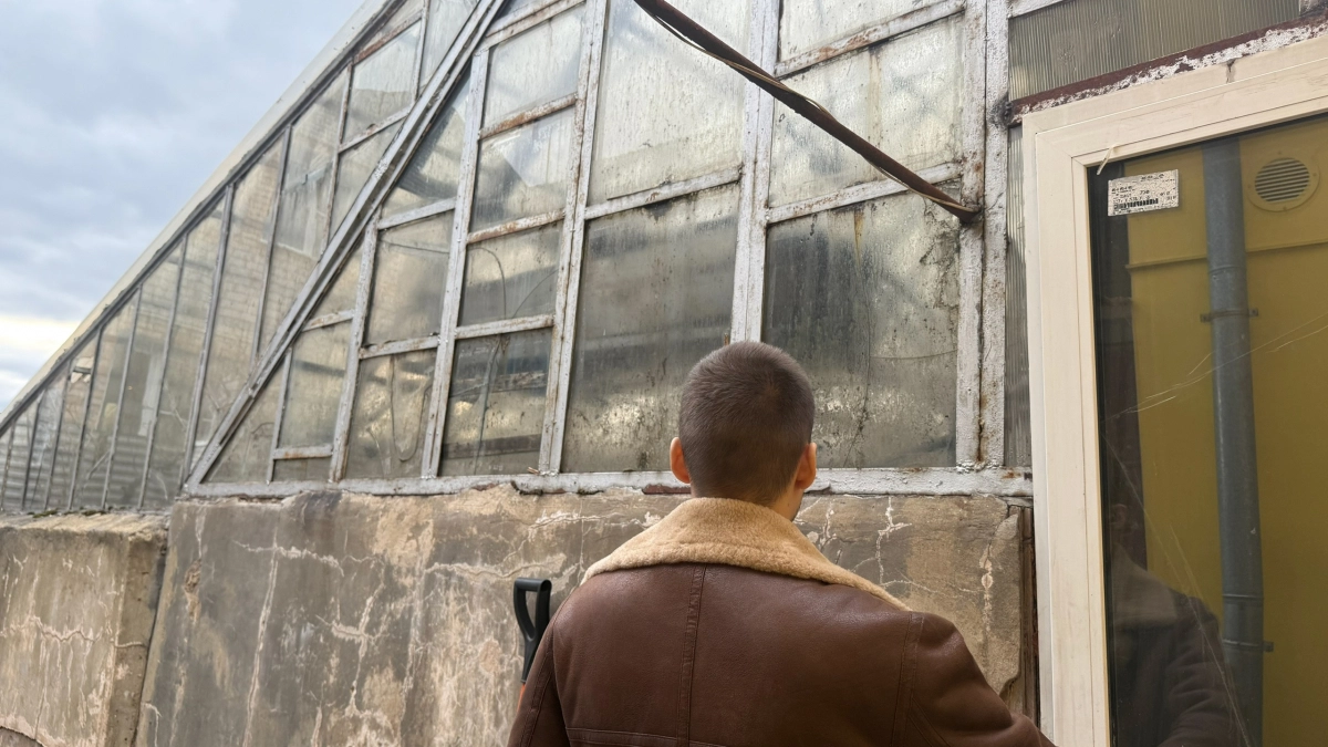 Мягкие окна больше не в моде: что на самом деле произойдёт с ними через пару лет - продавцы об этом молчат