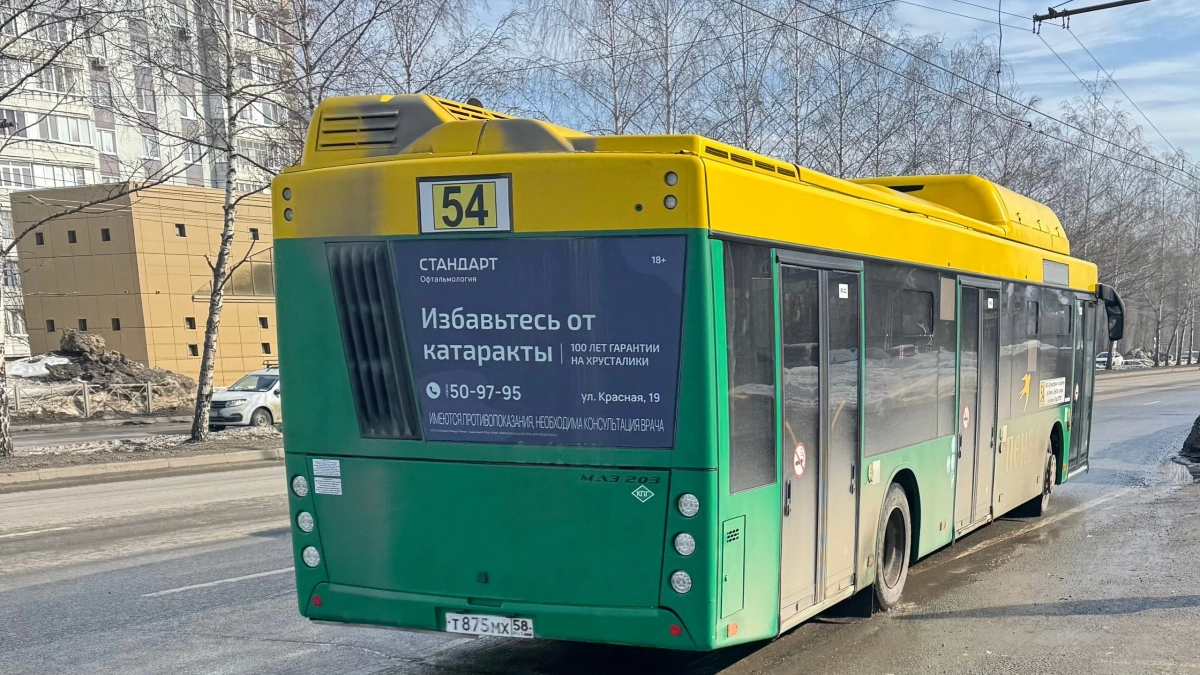 Жительница Пензы пожаловалась на хамство и оскорбления в автобусе №54