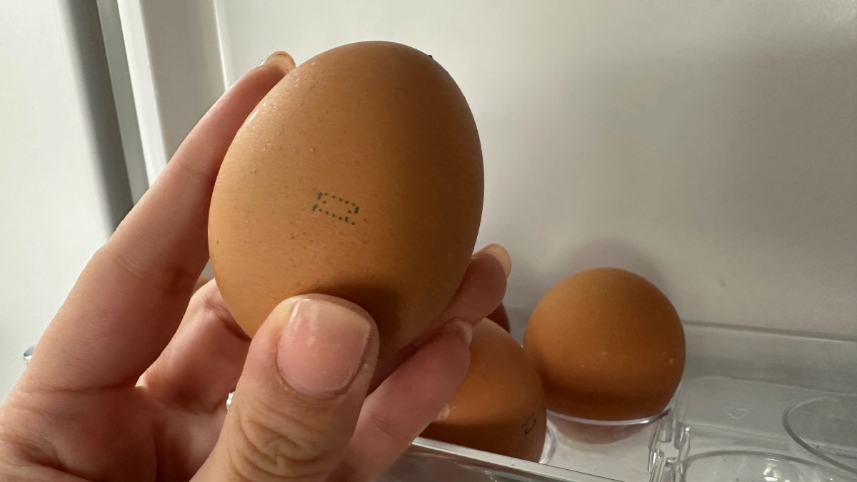 Почему яйца с коричневой скорлупой дороже: жарил, варил, взбивал -  в чем разница?