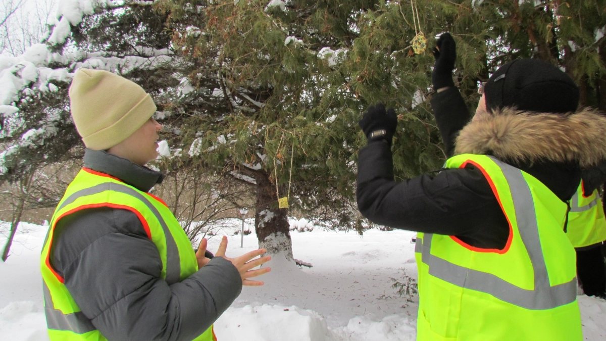 Два пензенских лесничества проверят на радиацию