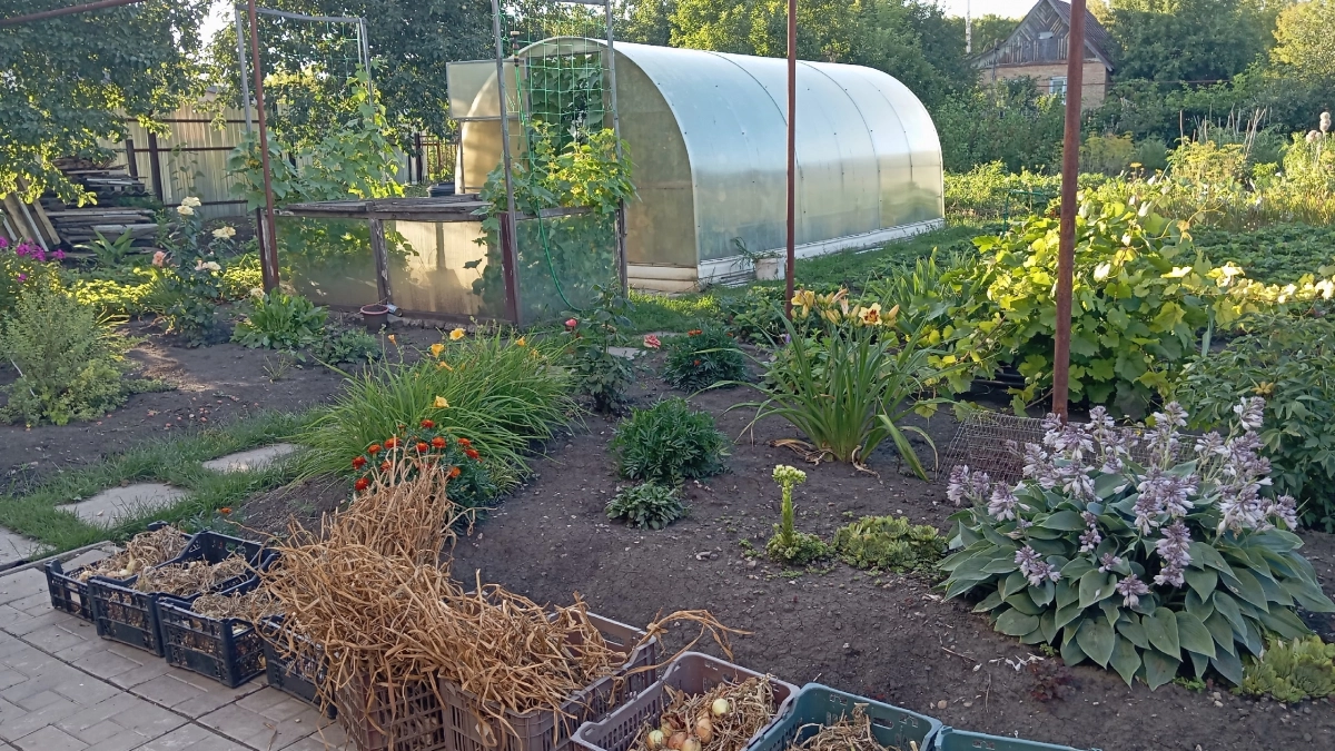 Как проверить участок на клещей за 2 минуты: бывалые дачники давно используют эту технику