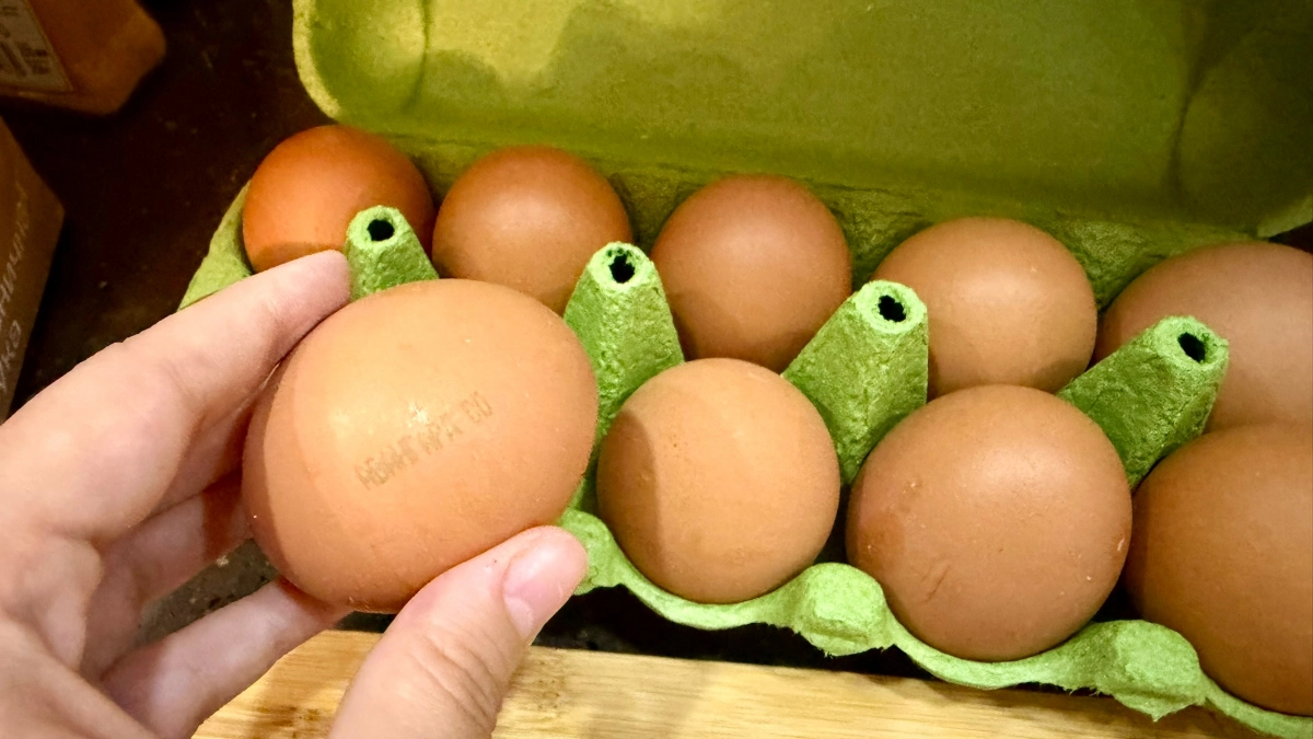 В желтке красное пятно — можно ли есть такое яйцо? Ученые дали точный ответ хозяйкам - смотрите что под скорлупой