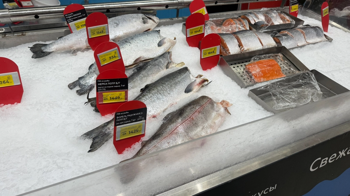 Как выбрать форель с икрой: ищите эти 3 признака у рыбы - ушлые продавцы отбирают для себя только так