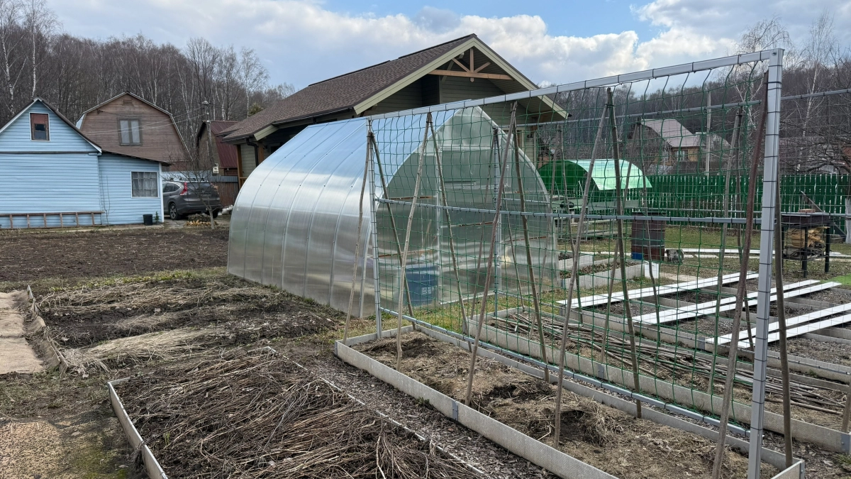 Что посеять в неотапливаемую теплицу в марте: проверенные культуры, которые дадут результат даже без обогрева