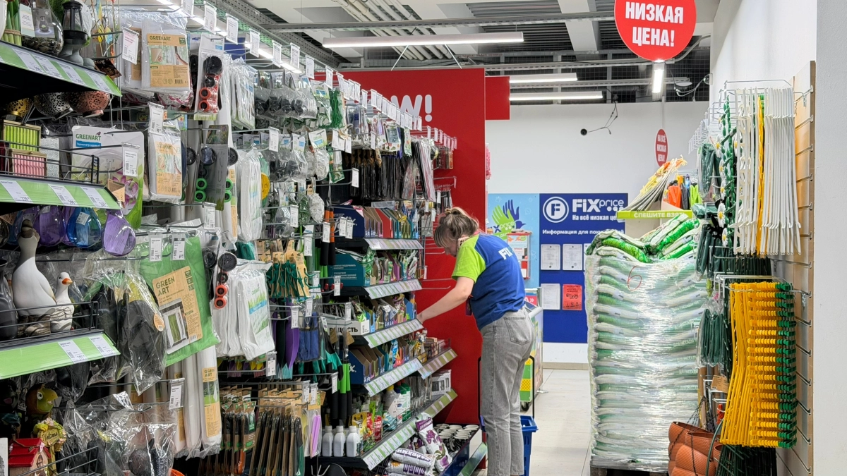 Проверили семена цветов из Фикс Прайса: что обещают на упаковке и что реально растёт — честный отзыв  