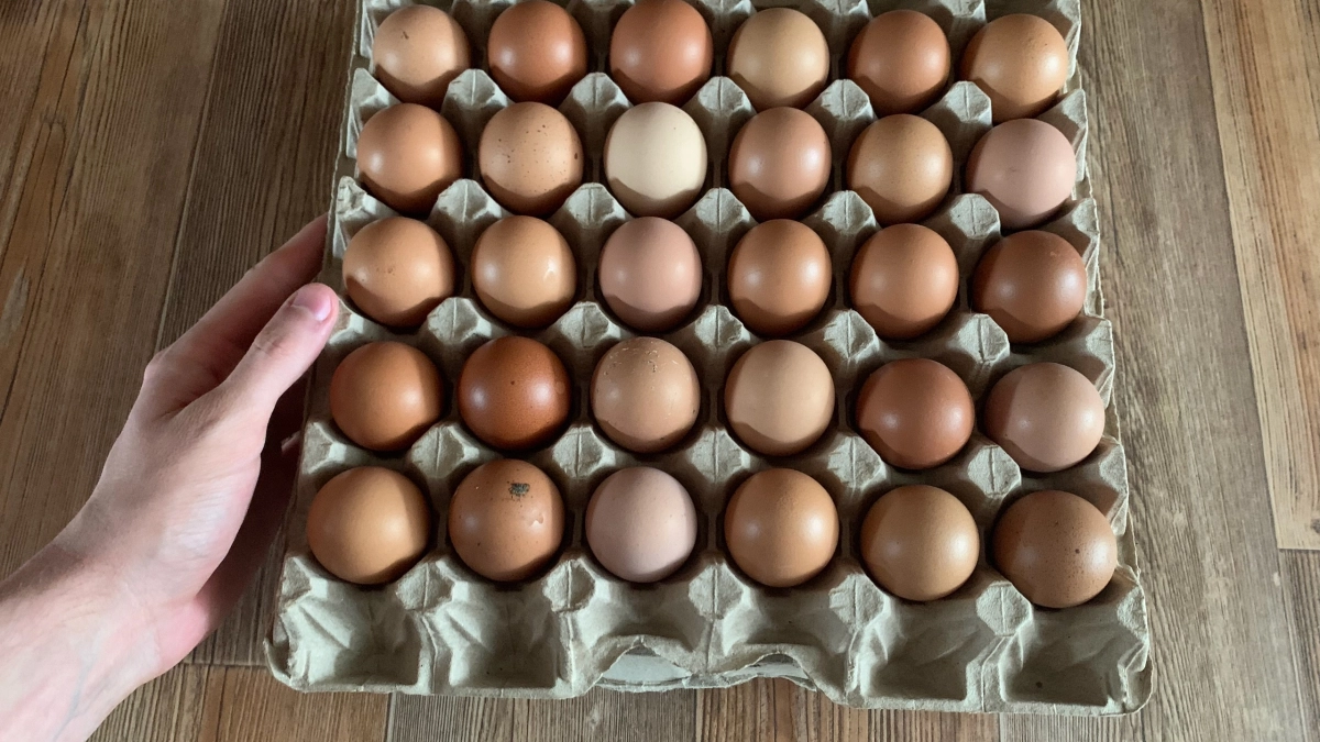 Теперь яйца С1 и С2 не покупаю: узнала хитрость опытных продавцов  - специально езжу на яйцами СВ