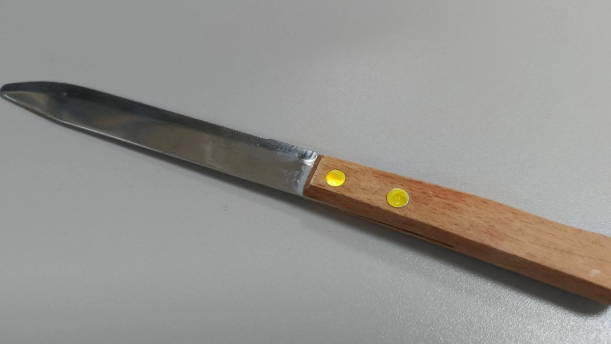 Сердобчанка из-за недопонимания напала на свою подругу с ножом