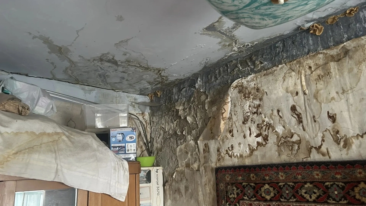Черной плесенью покрылись стены и потолки квартир жилого дома на ул. Володарского из-за бездействия УК 