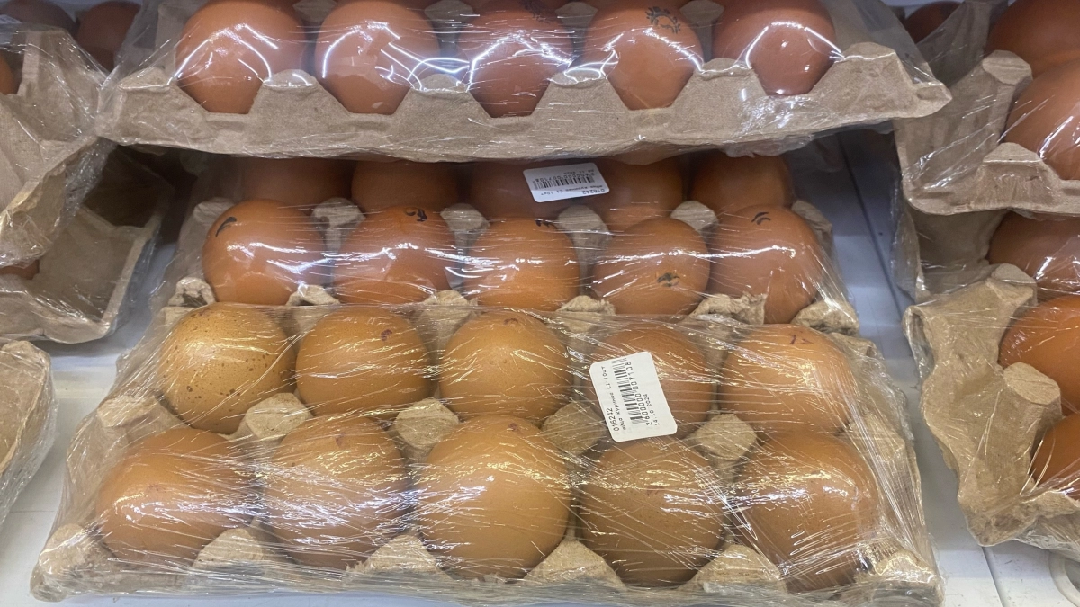 Спросила работницу птицефабрики, какие яйца она берёт себе в магазине — ответ удивил, зато теперь покупаю такие же