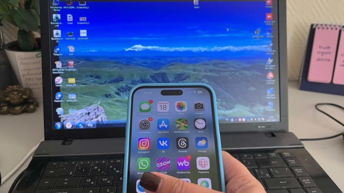 Жители Пензенской области могут получить талон в офисы МФЦ прямо в телефоне