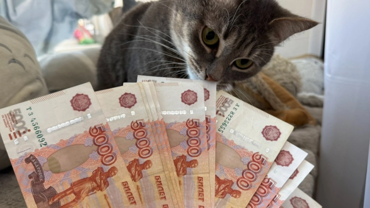 Пензенцев предупредили о новой схеме мошенничества, связанной с перерасчетом пенсии