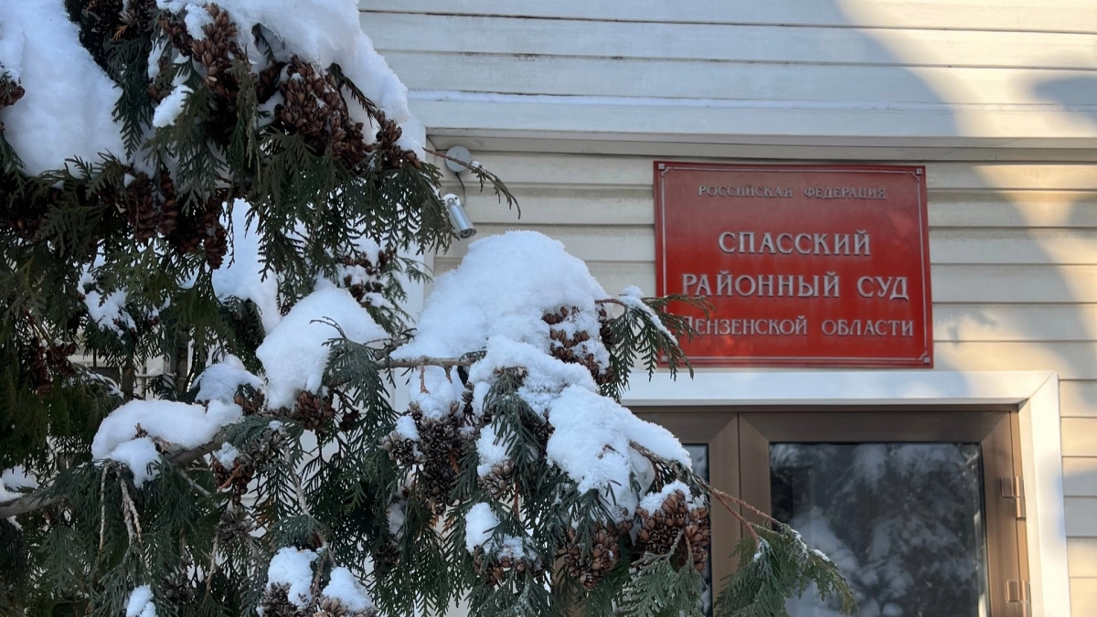 Жительницу Спасского района осудили за нанесение побоев 11-летнему сыну