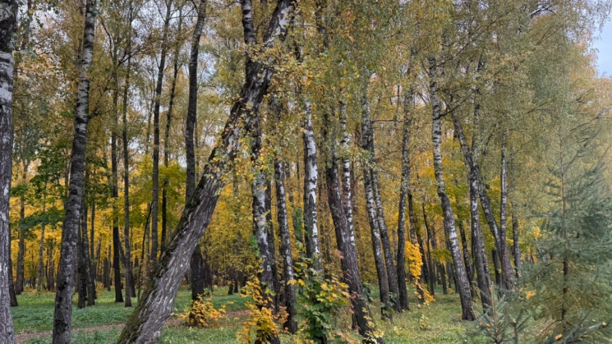 Стали известны сроки весенней охоты в Пензенской области