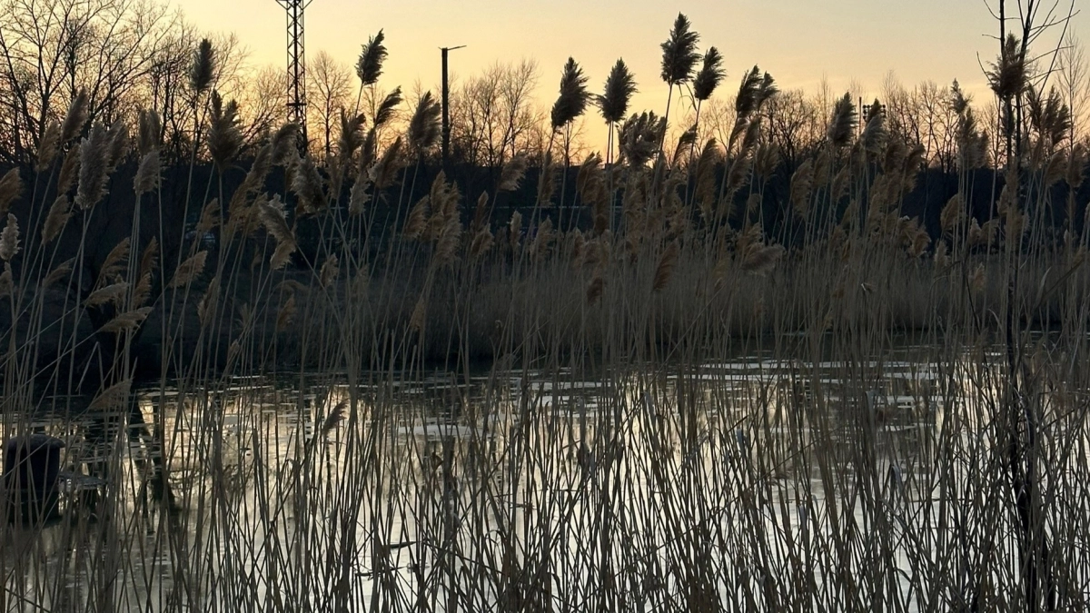 В Пензе в районе ул. Нейтральная было найдено тело мужчины