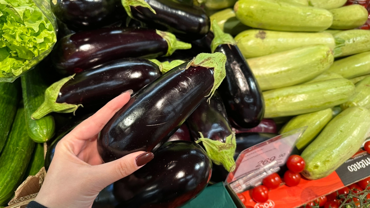 Только эти сорта баклажан посажу в 2026 году: лучшие, мегаурожайные, ничем не болеют - по 5 ведер собирала за раз весь сезон 